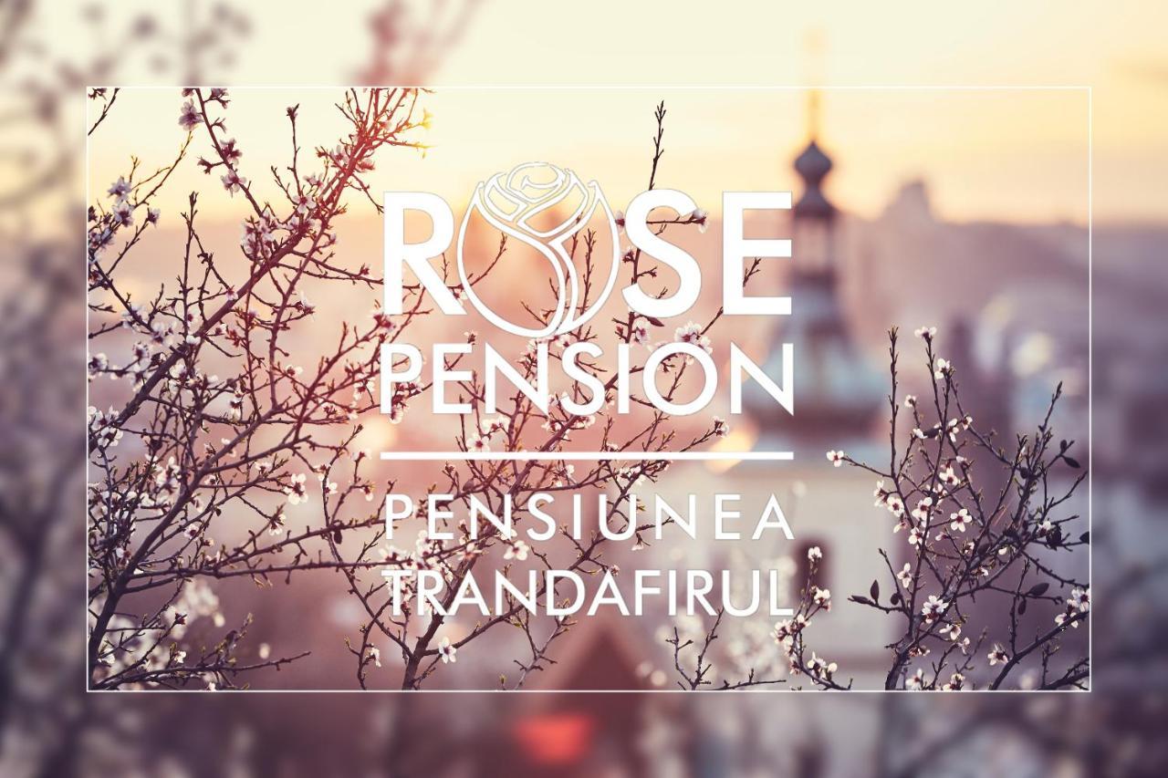 Pension Rose-Trandafirul Borsec Exterior photo