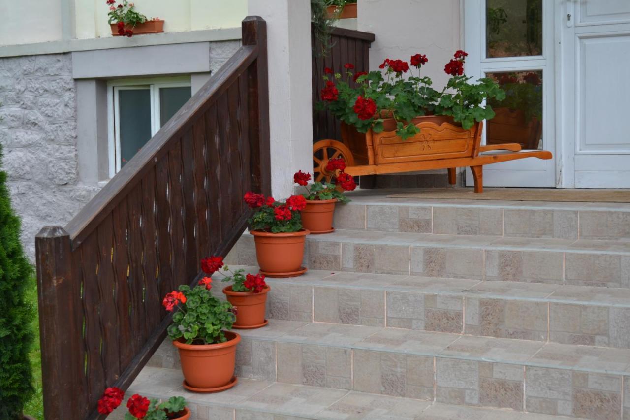 Pension Rose-Trandafirul Borsec Exterior photo